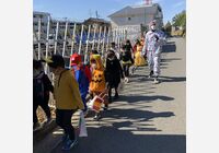 IMG_3788 2