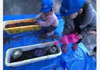IMG_5544