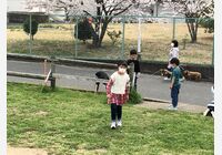 78292828-02F8-47ED-8A44-F9FC838110B2