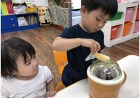 IMG_3528